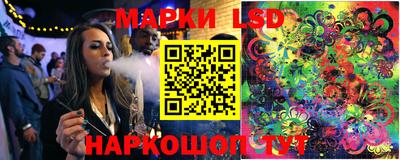 шишки Донской