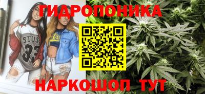 шишки Донской