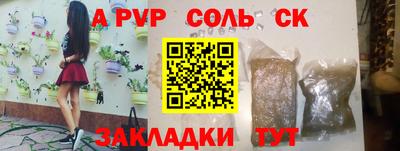 шишки Донской