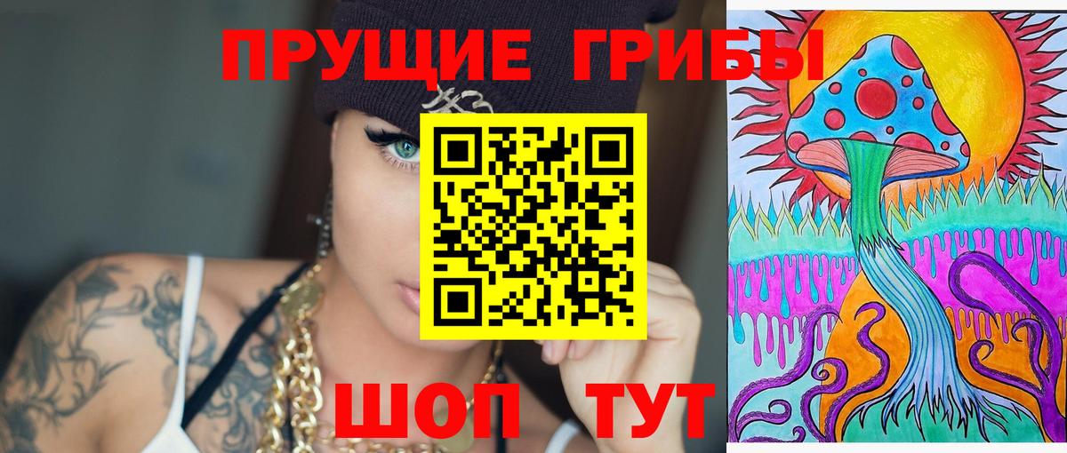 Псилоцибиновые грибы GOLDEN TEACHER  Галлюциногенные грибы Cubensis  Можга  Вход с VPN 